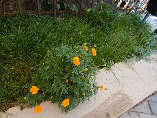 Сл@дк@я Мерз@вка