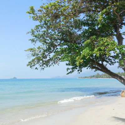 Надежда Корельская