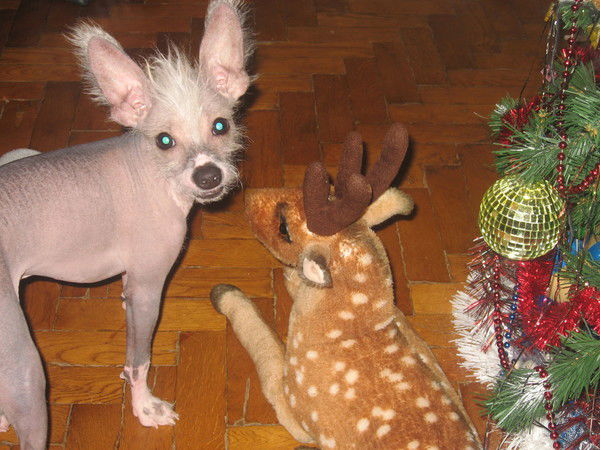 Кристина Артамонова