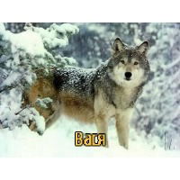 Василий Хамутовский