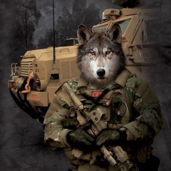 Царинный Виталий