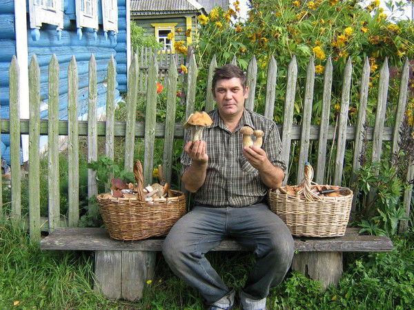 Владимир Петушков