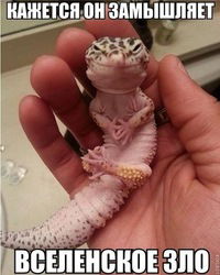 Наиль Батыргареев