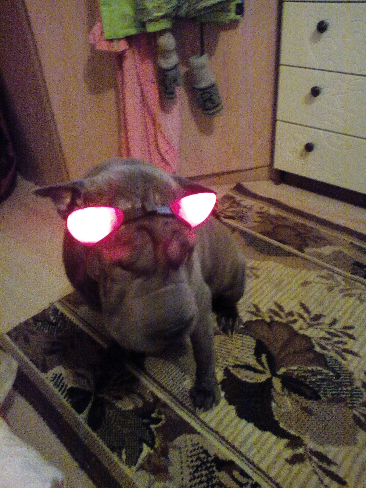 Надежда Седова