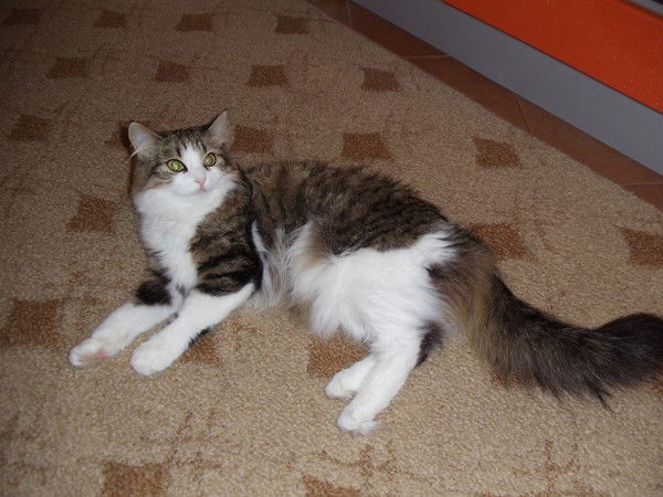 Татьяна Сидорова