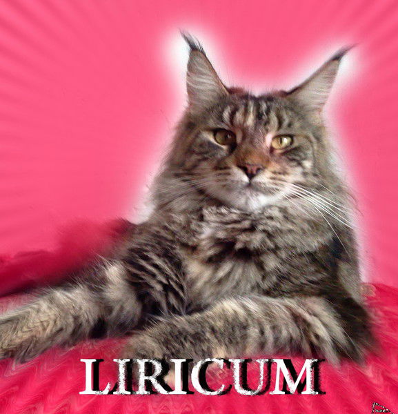 Лидия Лирикум