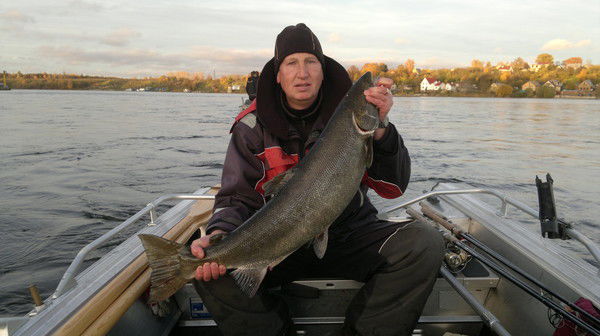 Николай Карпенко