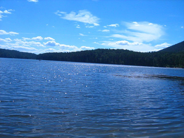 Настюша Синикина