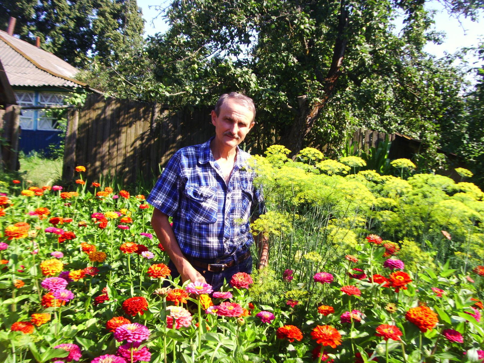 Василий Сурай