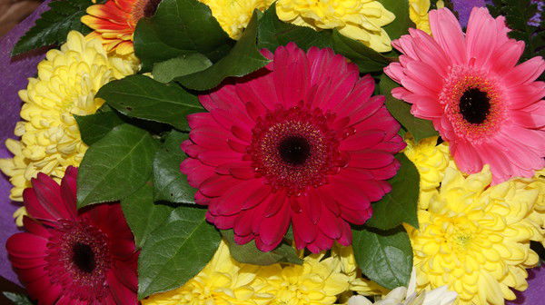 Алла Трушкина