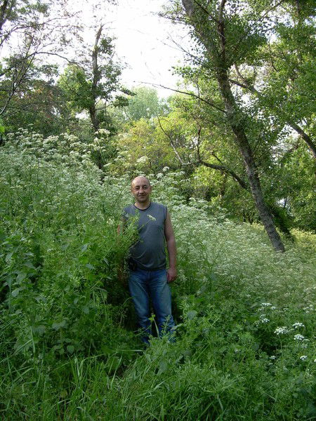 Владимир Морозов