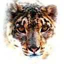Ирина Логинова
