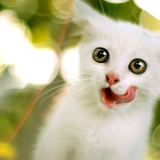 Людмила Попова