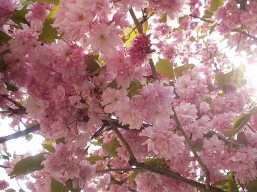 Михалків Людмила