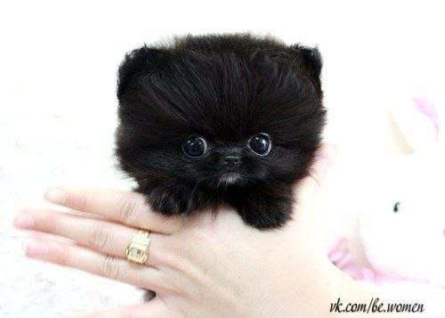 Екатерина Федотова