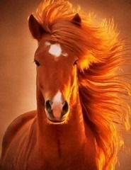 Магазин Камаз