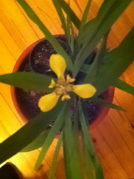 Мельник Андрей