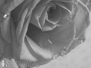 Артур Юрченко