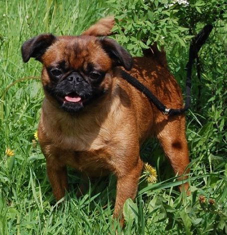 Комелькова Анастасия