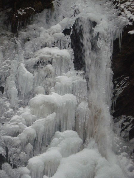 Людмилка Zapotichna