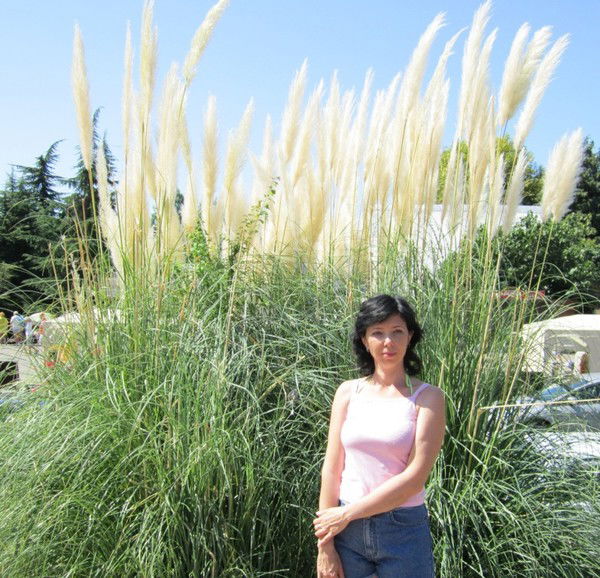 Наталья Лещенко