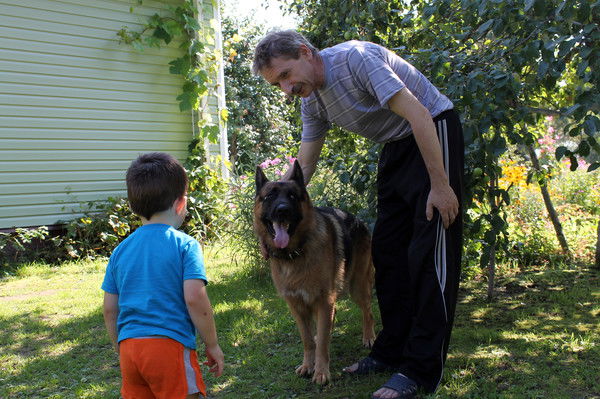Александр Куракин