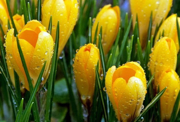 Виктория Шигабутдинова