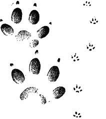 Марина Кошкина