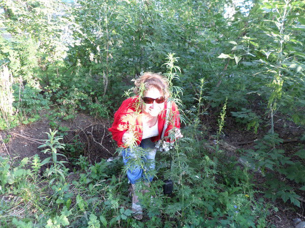 Елена Зайкина