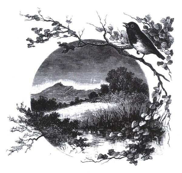 Алла Хорошилова