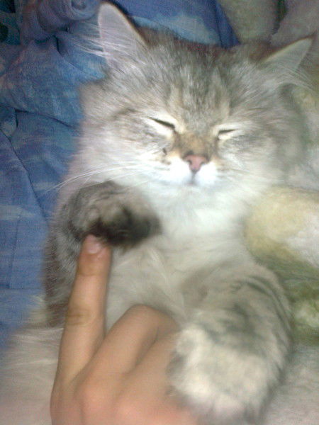 Алена И Денис Милосердовы