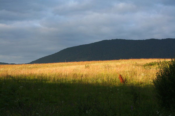 Игорь Титовский