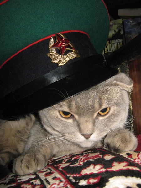 Игорь Харламов