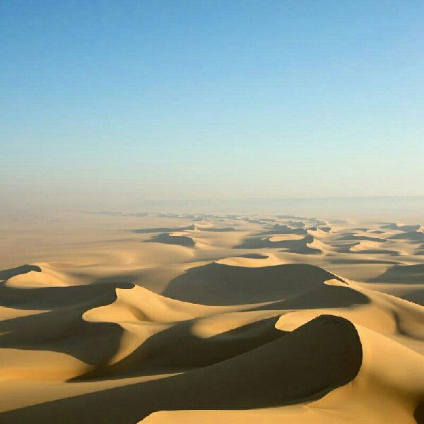 Андрей Мишин