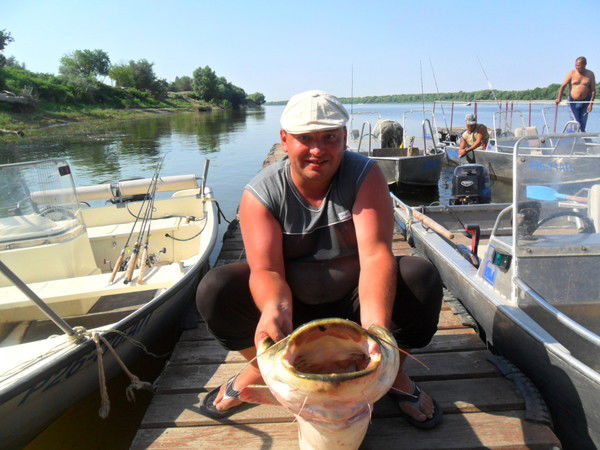 Андрей Поклад