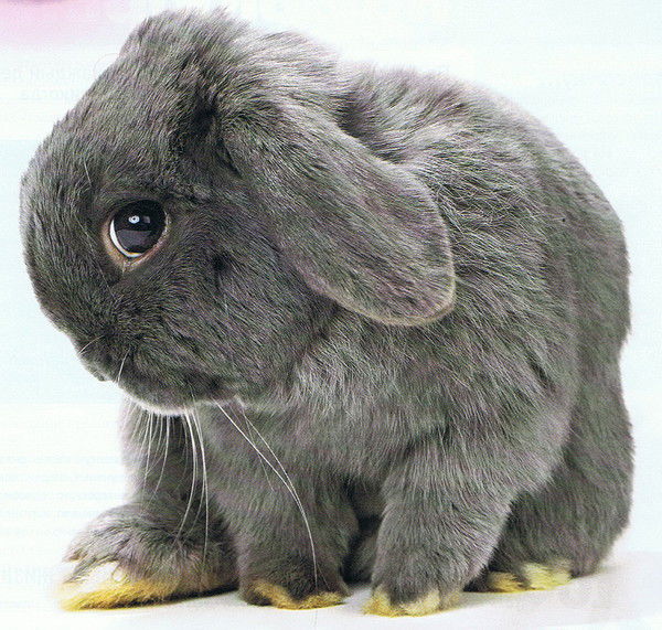 Ирина Капустина