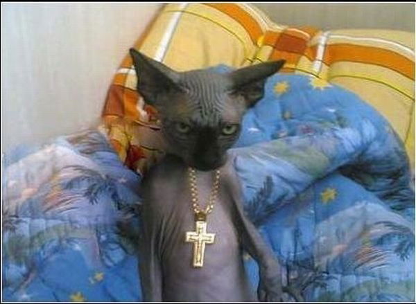 Евгений Королев