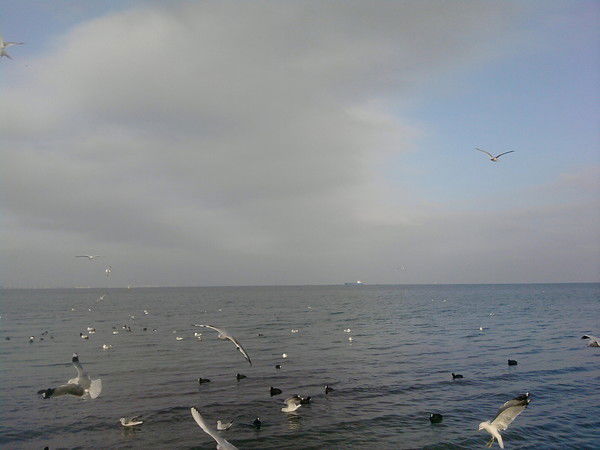 Оксана Бучкова