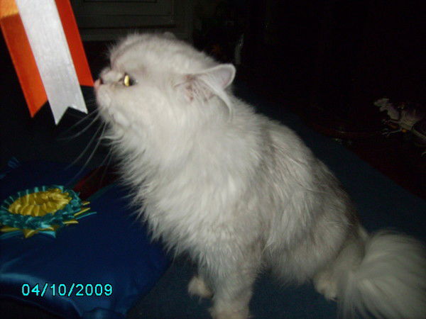 Виталий Коб