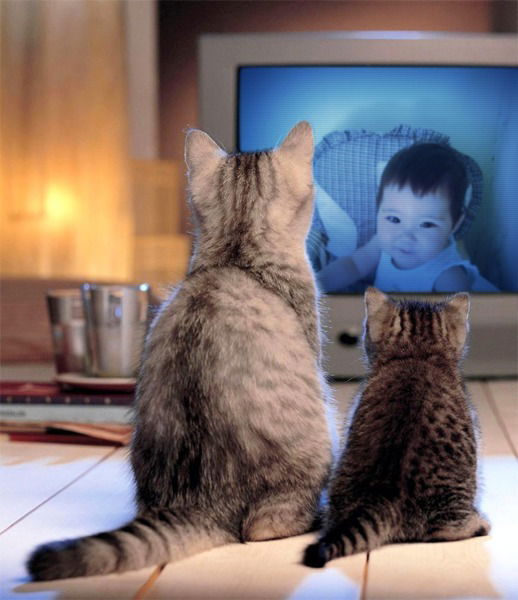 Жайна Касымбек