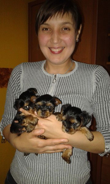 Мария Деметер