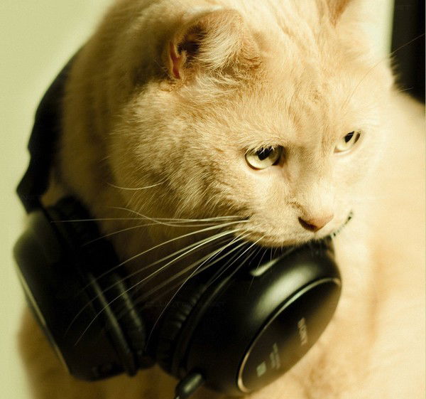 Алла Сарафанова