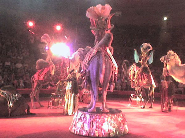 Иванова Ольга