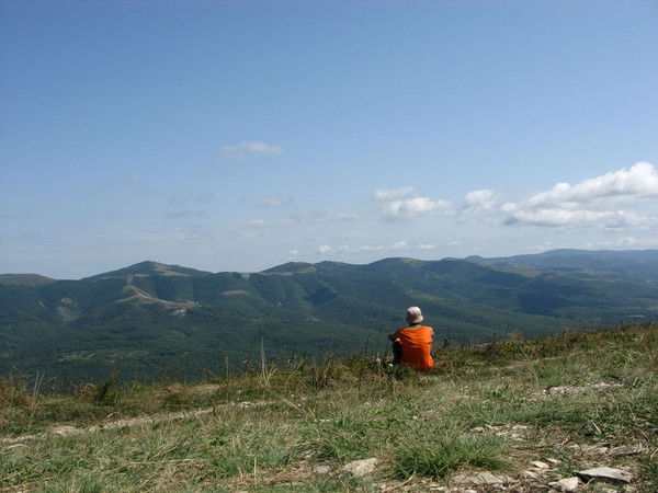 Владимир Галанцев