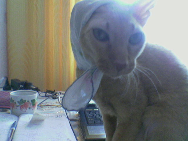 Василиса Романова