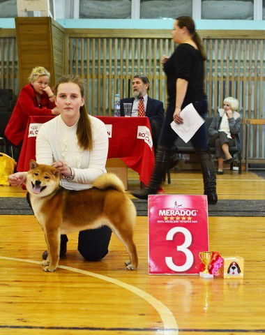 Анастасия Жаркова