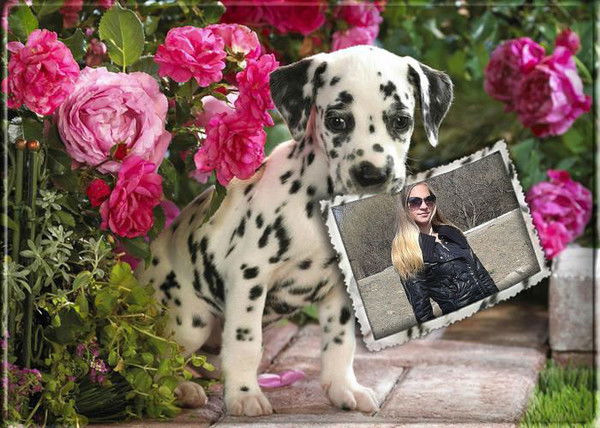 Елена Реддих