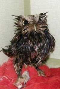 Никита Конченко