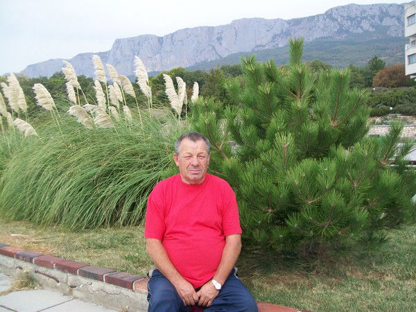 Василий Солодовников