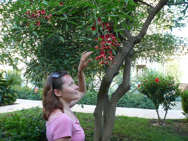 Мари Клементьева